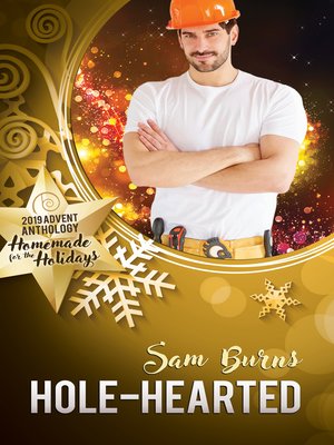 cover image of Hole-Hearted